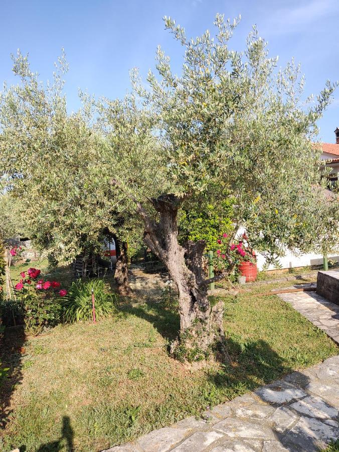 App Klabot *** Apartment Umag Bagian luar foto